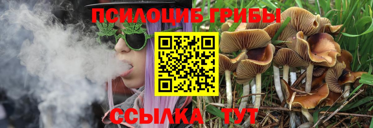 Псилоцибиновые грибы Psilocybine cubensis  Вход с VPN  Галлюциногенные грибы GOLDEN TEACHER  Видное 