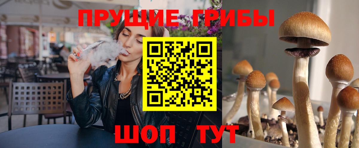 Галлюциногенные грибы прущие грибы Видное
